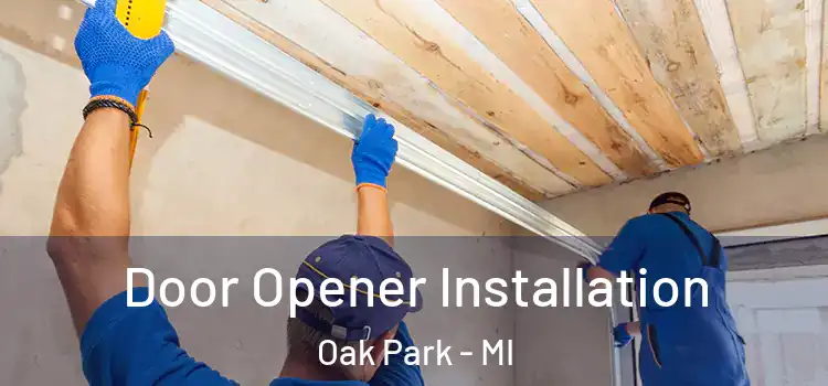  Door Opener Installation Oak Park - MI