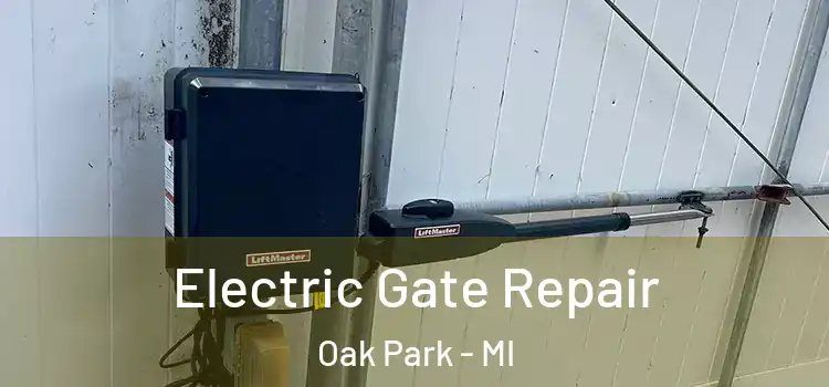  Electric Gate Repair Oak Park - MI
