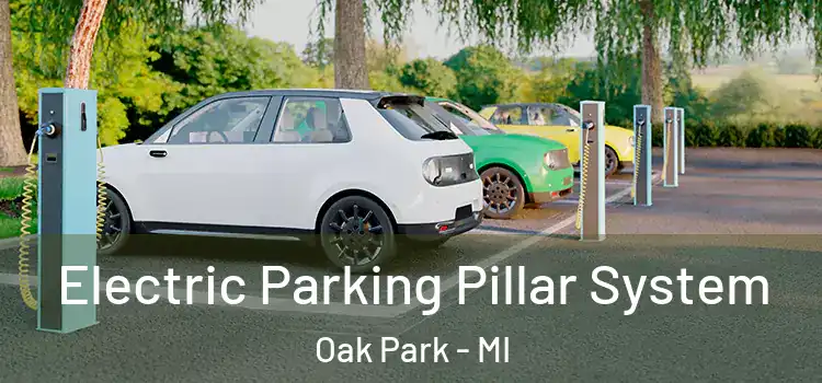  Electric Parking Pillar System Oak Park - MI