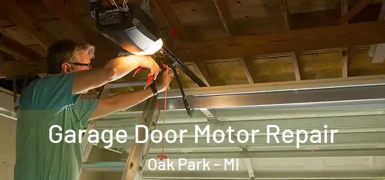 Garage Door Motor Repair Oak Park - MI