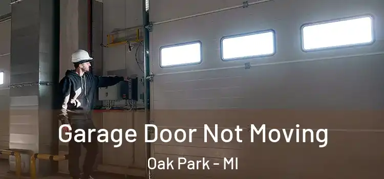  Garage Door Not Moving Oak Park - MI