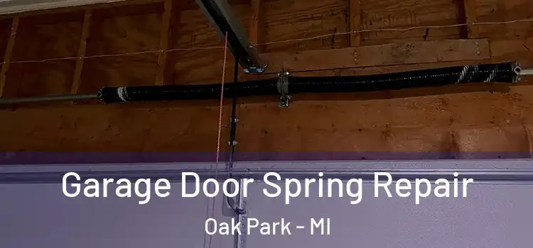  Garage Door Spring Repair Oak Park - MI
