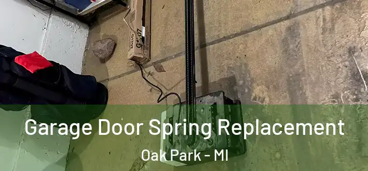  Garage Door Spring Replacement Oak Park - MI