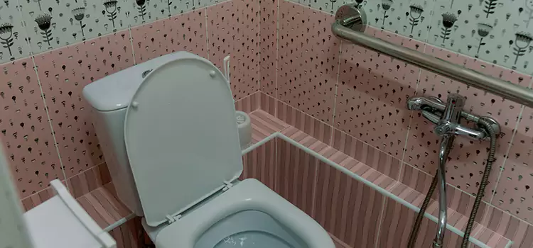 Meeting Diverse Needs With Accessible Restroom Solutions in Oak Park, MI