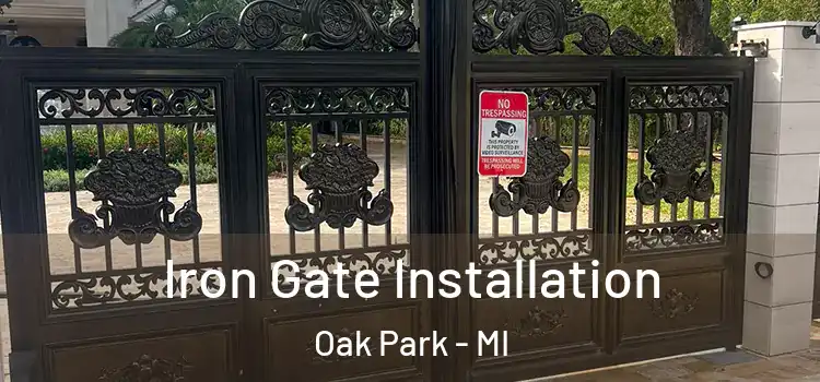  Iron Gate Installation Oak Park - MI