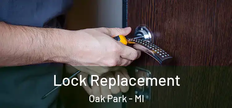 Lock Replacement Oak Park - MI