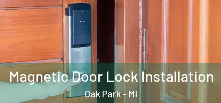  Magnetic Door Lock Installation Oak Park - MI