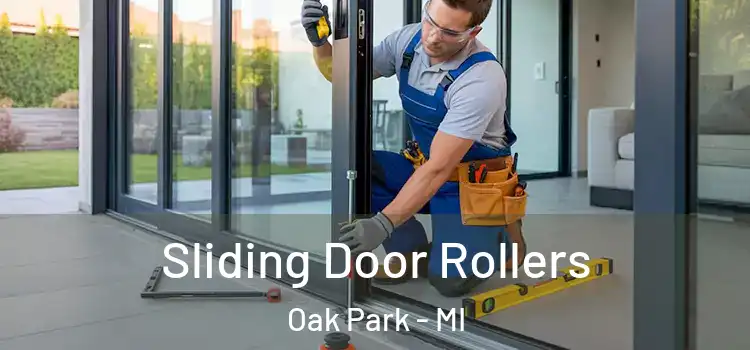  Sliding Door Rollers Oak Park - MI