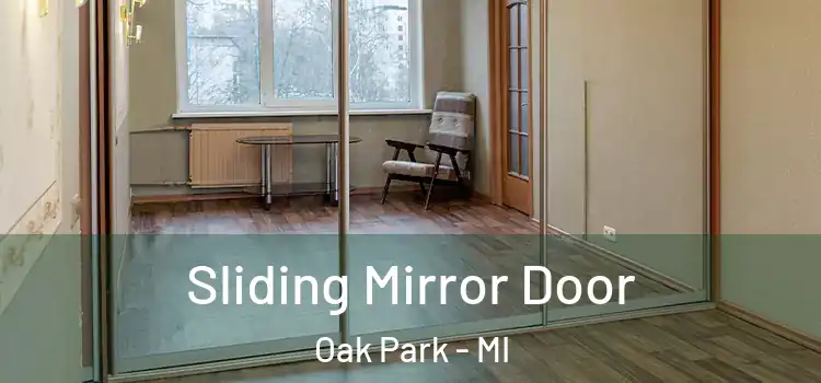  Sliding Mirror Door Oak Park - MI